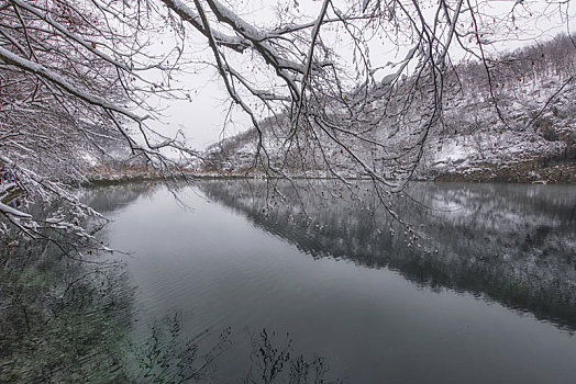 安静,宁和,风景,十六湖国家公园,克罗地亚
