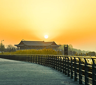 滹沱河湿地风光