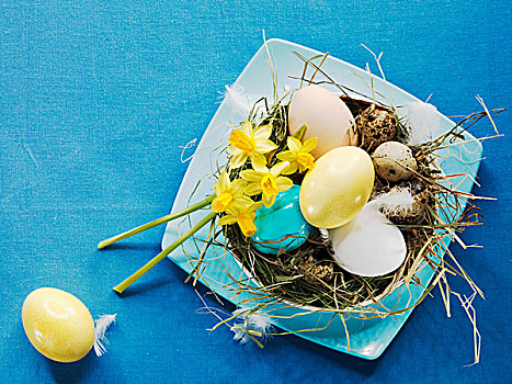 蛋,复活节草巢,水仙花,干草