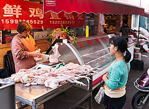 女人,销售,鸡,食品市场,郑州,河南,中国,亚洲