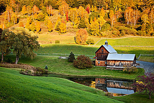 秋天,断头谷农场,靠近,佛蒙特州,美国