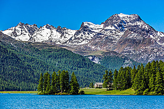 湖,靠近,圣莫里茨,阿尔卑斯山,背景,瑞士