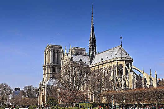 风景,塞纳河,圣母大教堂,中世纪,天主教,大教堂,郡,巴黎,法国