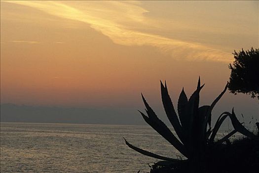日出,高处,亚德里亚海,岛屿