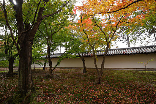 日本京都东福寺