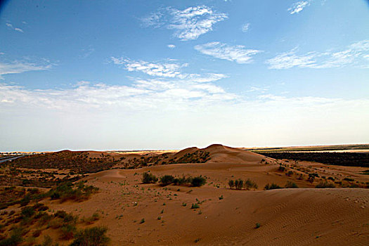 中国第七大沙漠,库布齐沙漠美景