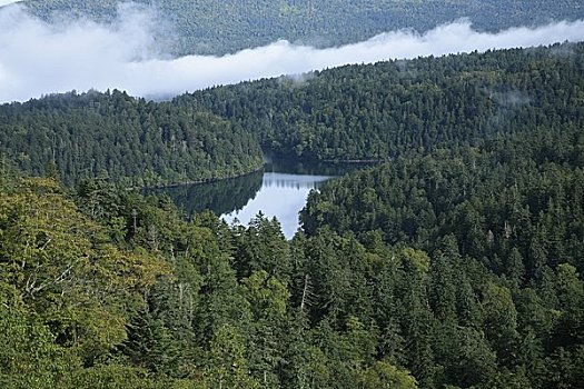 湖,阿寒国家公园