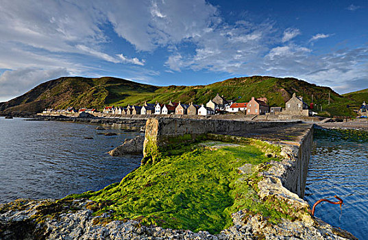 沿岸,风景,绿色,藻类,码头,捕鱼,乡村,班夫郡,英国,苏格兰,欧洲