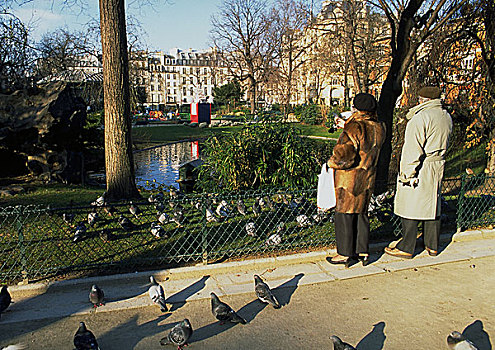 法国,巴黎,情侣,鸽子,公园