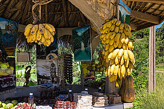 古巴,国家公园,水果摊,香蕉