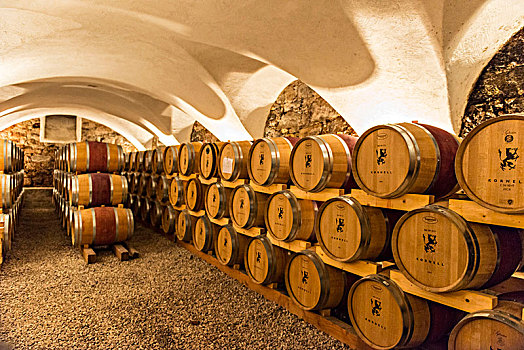 葡萄酒桶,存储,葡萄酒厂,山谷,维诺斯塔,南蒂罗尔,意大利