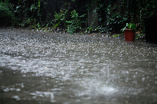 四川阆中大雨图片