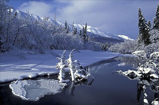 楚加奇州立公园,阿拉斯加,早,冬天
