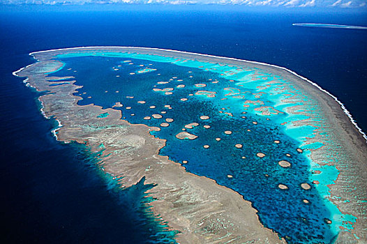 礁石,大堡礁,昆士兰,澳大利亚