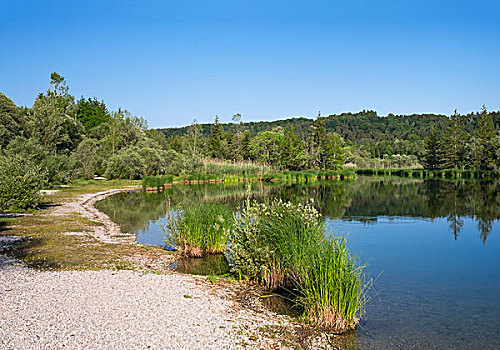 水库,自然保护区,上巴伐利亚,巴伐利亚,德国,欧洲