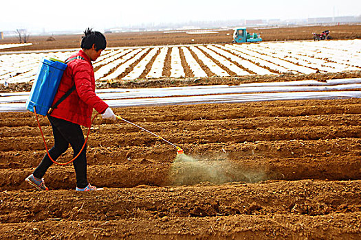 邛崍四川邛崍四川邛崍農莊裡勞作的人們農莊裡勞動的人們大別山腳下