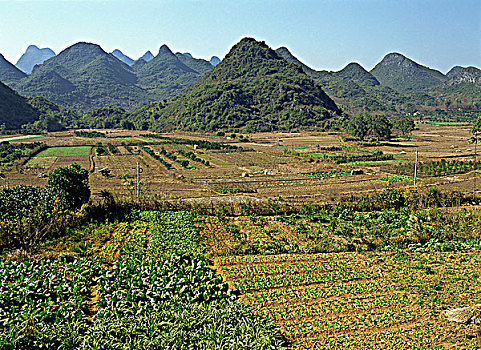 农田,桂林,中国