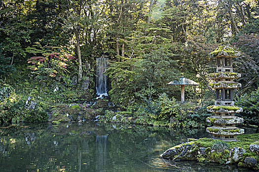 花园,秋天,石川,日本