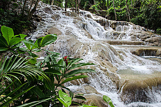 河,瀑布,奥乔里奥斯,牙买加