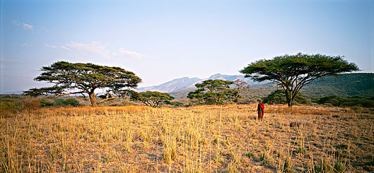 马萨伊,男人,地点,坦桑尼亚
