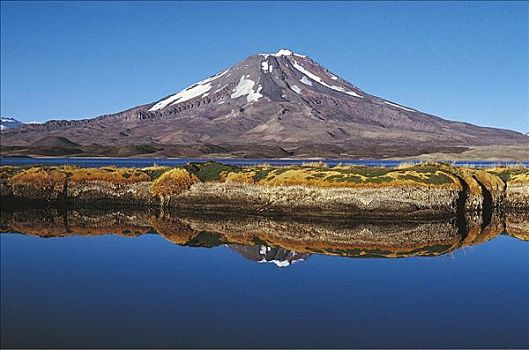 湖,泻湖,火山,山,阿根廷,南美