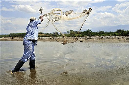 捕鱼者,网,河,哥伦比亚,南美