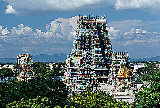 印度,泰米尔纳德邦,马杜赖,树,正面,庙宇