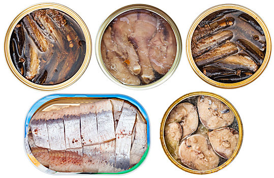 白鲑图片_白鲑图片大全_白鲑图片素材