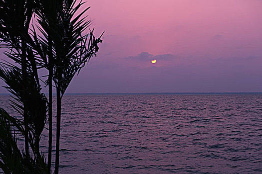 日落,上方,海洋,喀拉拉,印度