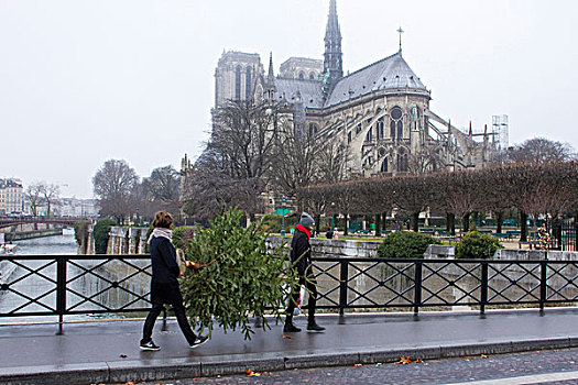 法国,巴黎,两个女人,圣诞树,背景,巴黎圣母院