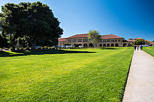 美国斯坦福大学景色