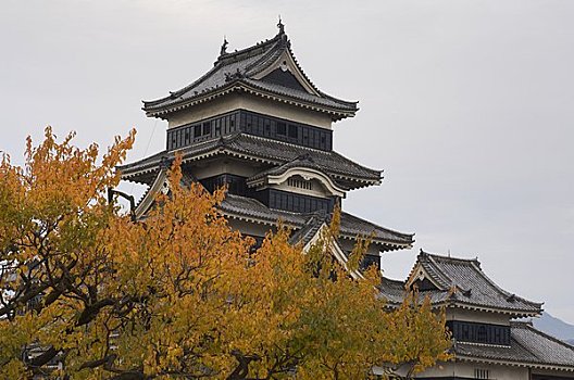 松本城,松本,日本