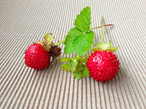 野草莓,草莓,野果