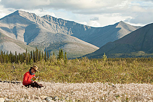 女青年,放松,坐,草,羊胡子草,北方,后面,风,河,外皮,育空地区,加拿大