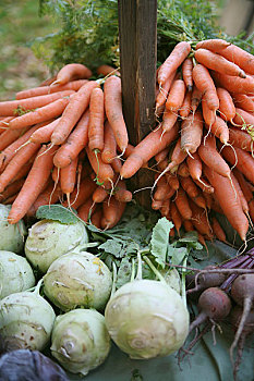 胡萝卜,撇蓝,甜菜根,市场