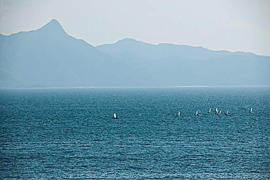 广东省深圳市大鹏半岛南奥镇比赛帆船在大鹏湾上训练