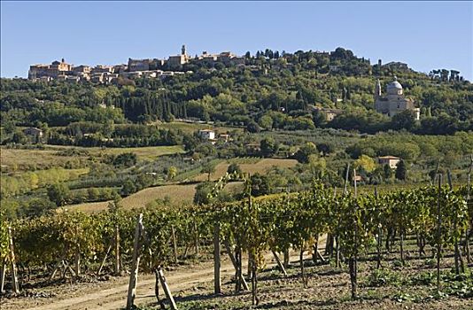 意大利,托斯卡纳,蒙蒂普尔查诺红葡萄酒,中世纪,山顶,乡村,教堂,风景,葡萄园,围绕