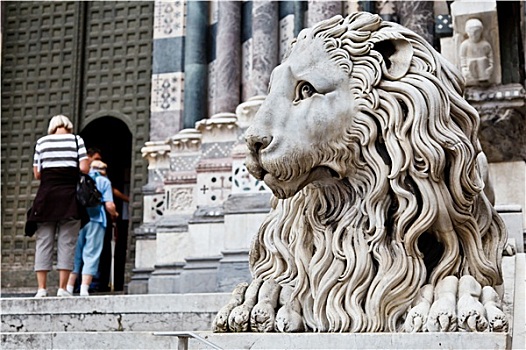 狮子,保护,大教堂,圣徒,热那亚