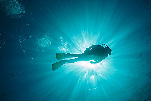 太阳,发光,后面,女人,深潜,水下,马尔代夫,印度洋