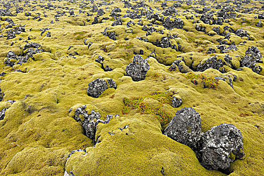 火山地貌,斯奈山半岛,韦斯特兰德,冰岛