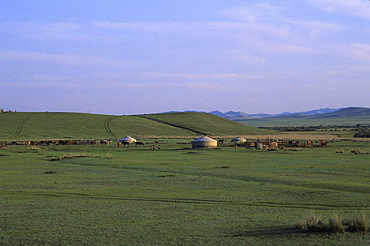 蒙古,靠近,乌兰巴托,蒙古包