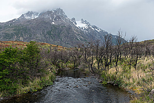 风景,河流,山,背景,托雷德裴恩国家公园,巴塔哥尼亚,智利