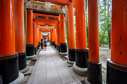 日本京都伏见稻荷大社千本鸟居风光