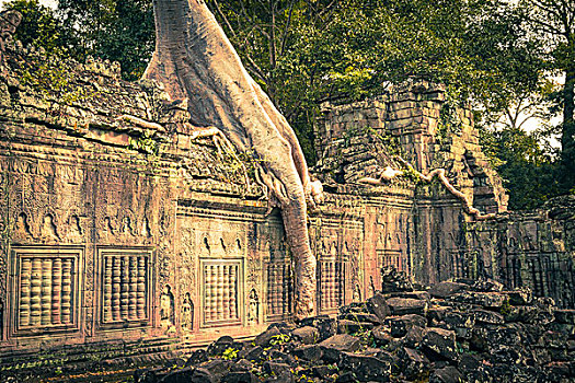 庙宇,吴哥,区域,收获,柬埔寨