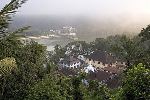 康提,湖,寺庙,牙齿,丘陵地区,斯里兰卡