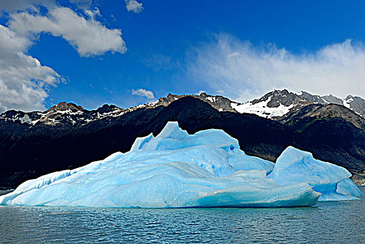 阿根廷,巴塔哥尼亚,洛斯格拉希亚雷斯国家公园,阿根廷湖,乌普萨拉,瑞典,冰河,冰山