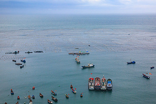 海湾,船,阳光,海岸,停泊,航行,港湾