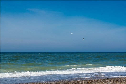 夏天,海岸