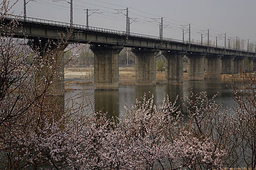 铁路桥