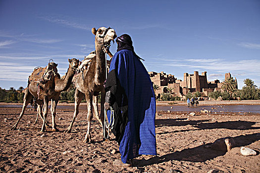 非洲,北非,摩洛哥,区域,瓦尔扎扎特,男人,骆驼